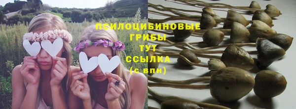 тгк Алексеевка