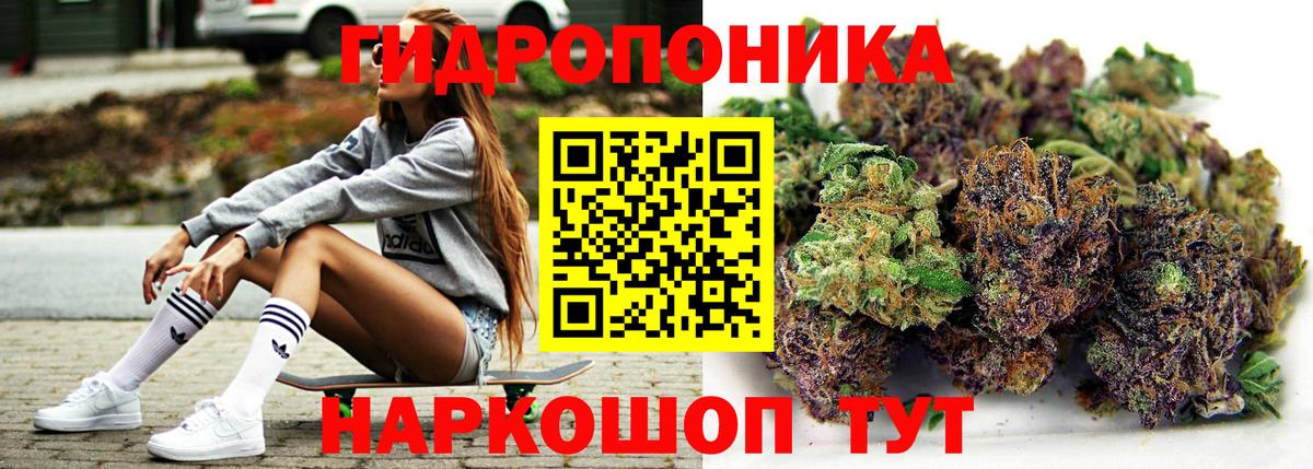 Бошки марихуана план  Вход с VPN  Марихуана White Widow  Каннабис план  Звенигород 